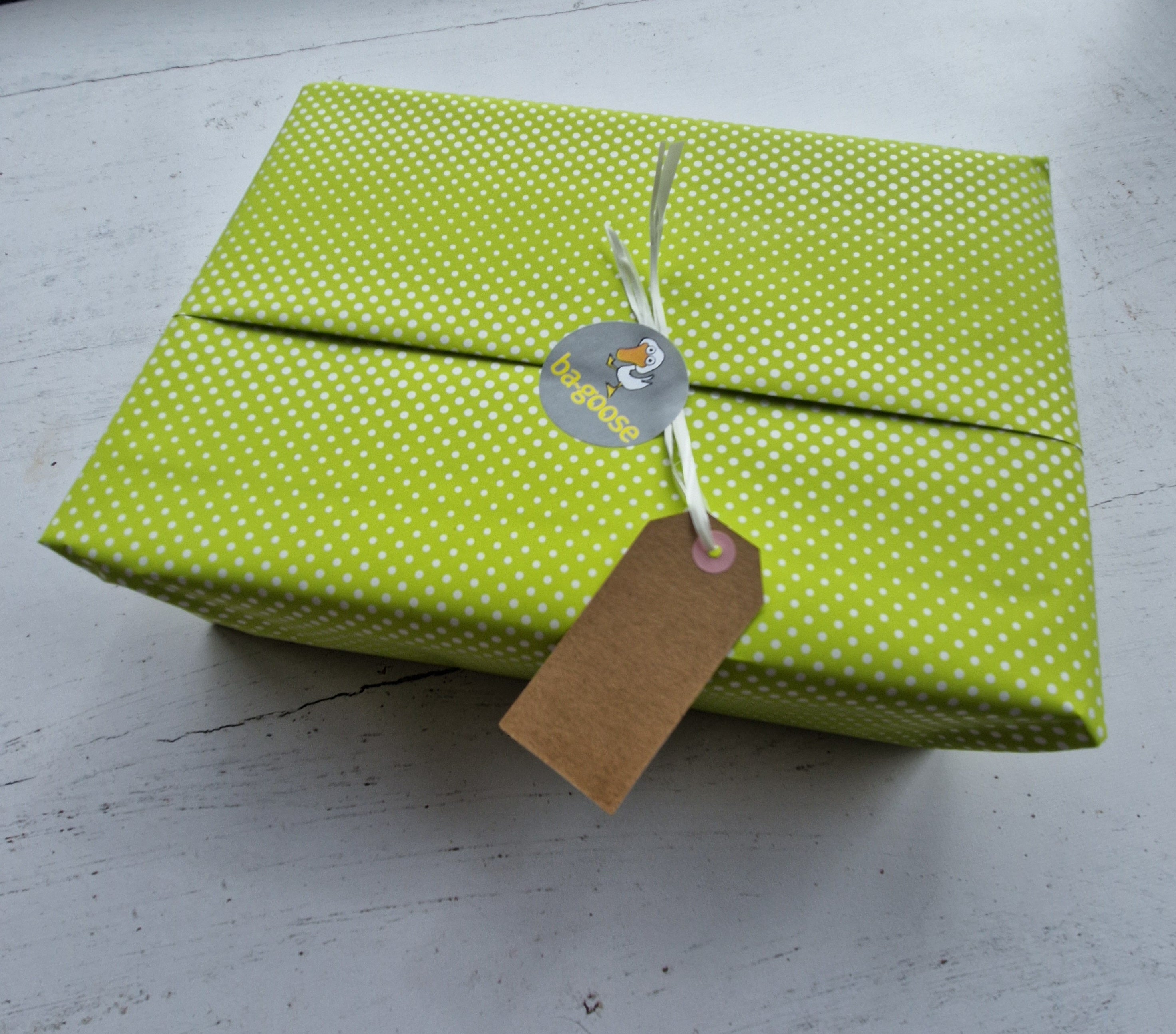 Dinosaur Baby Bootie