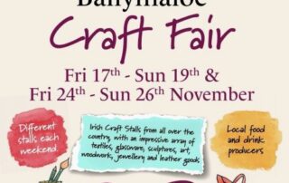 Ballymaloe grainstore craft fair